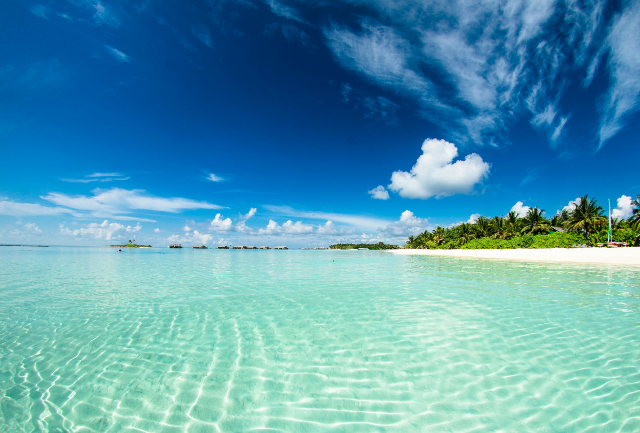 Vacation Beach Scene